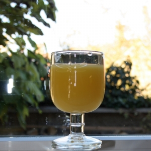 Poháre na víno Libellules 28cl/13,5cm