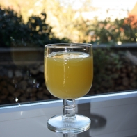 Poháre na víno Libellules 28cl/13,5cm