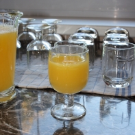 Poháre na víno Libellules 28cl/13,5cm