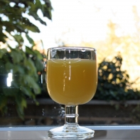 Pohárik Libellules 20cl