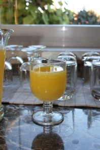 Pohárik Libellules 20cl