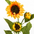 Slnečnica s flokovanou stopkou 3 kvety 95cm