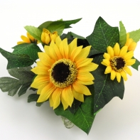 Slnečnica kvietok na sviečku