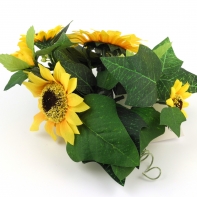 Slnečnica kvietok na sviečku