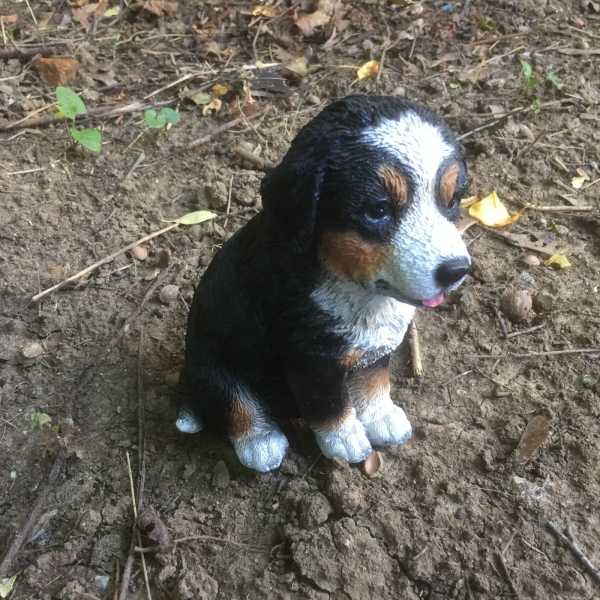 Socha do záhrady šteňa 16cm