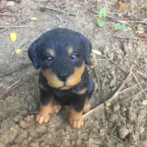 Socha do záhrady tmavé šteňa 16cm