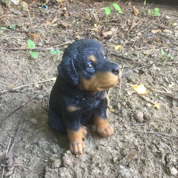 Socha do záhrady tmavé šteňa 16cm