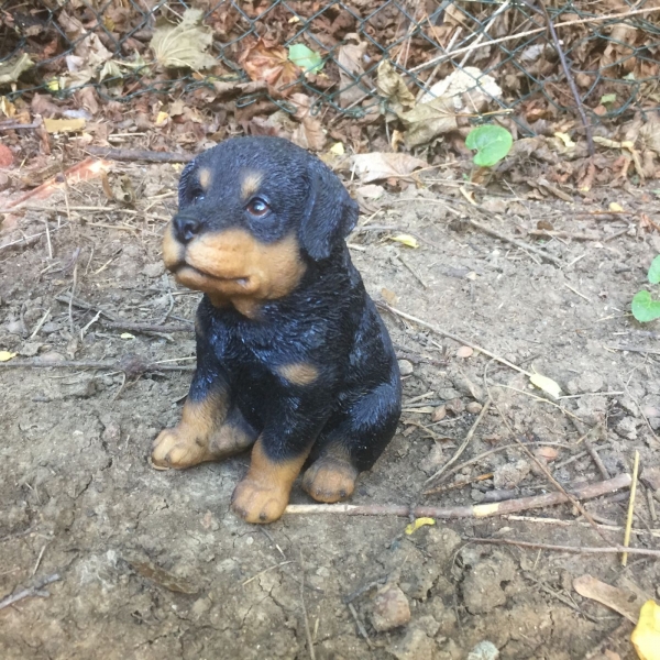 Socha do záhrady tmavé šteňa 16cm