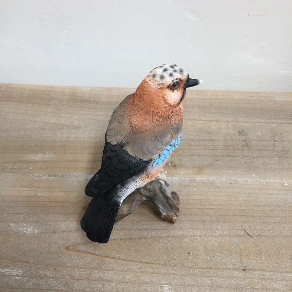 Sojka obyčajná 13,8 x8,9x16,2cm