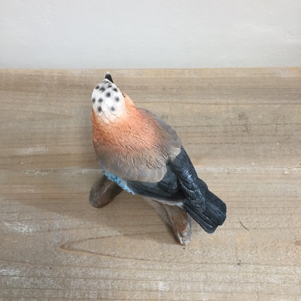 Sojka obyčajná 13,8 x8,9x16,2cm