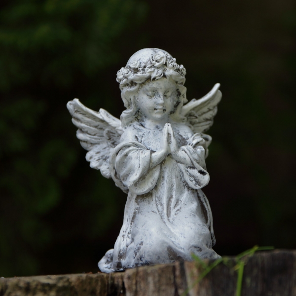 Soška anjel modliaci sa