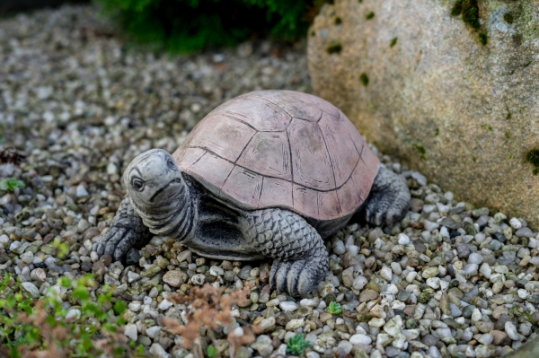 Soška na záhradu korytnačka