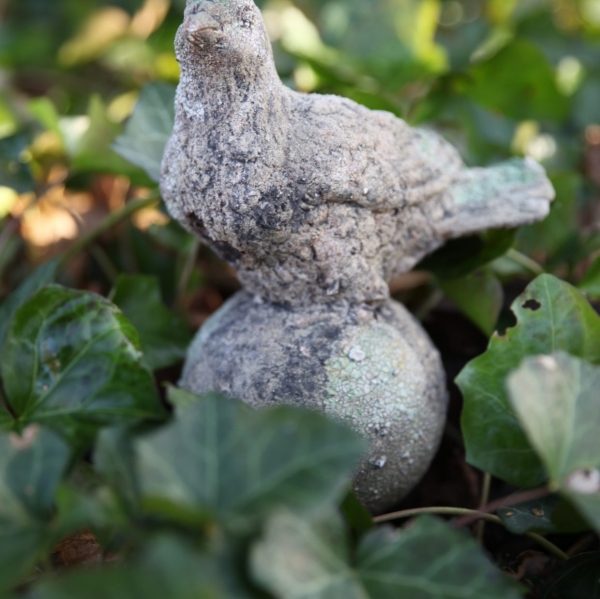 Soška sediace holubice 14,4 x 11,1 x 25,8 cm keramika s patinou