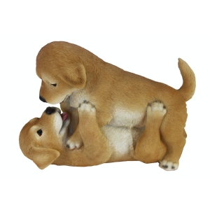 Šteniatka 22,8 cm