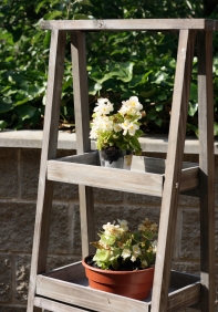 Stojan na kvety drevené police 169 cm