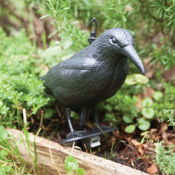 Strašiak do kapusty - plašič