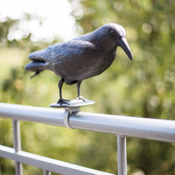 Strašiak do kapusty - plašič