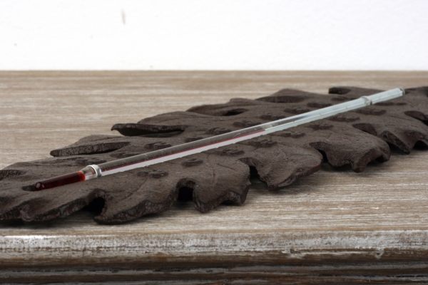 Teplomer vonkajší liatinový list 38x14cm