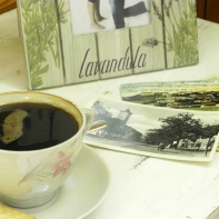 Termohrnček motív koňa 250ml