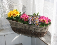 Kvetináč na vysádzanie / prútený závesný balkónový kôš 54cm