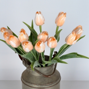 Tulipán bielo-oranžový