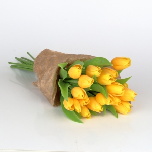 Tulipán jasne žltý 40cm