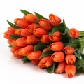 Tulipán oranžový 40cm