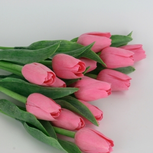 Tulipán ružový 40cm