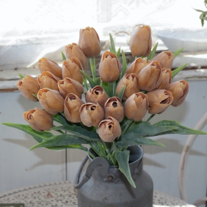 Tulipán záhradný umelý svetlo hnedý