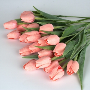 Tulipány korálovo ružové