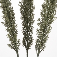 Umelá kvetina Kochia grey 70cm