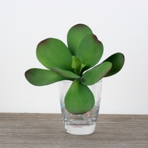 Umelá kvetina sukulent 19cm