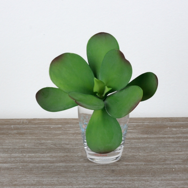 Umelá kvetina sukulent 19cm