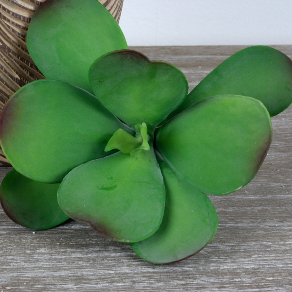 Umelá kvetina sukulent 19cm