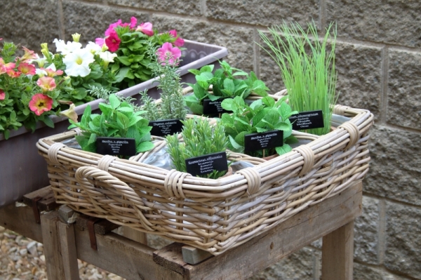 Umelá kvetina v kvetináči mäta