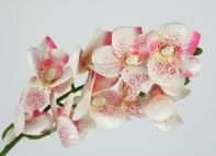 Umelá orchidea 51cm