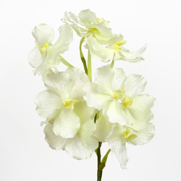 Umelá orchidea 70 cm biela
