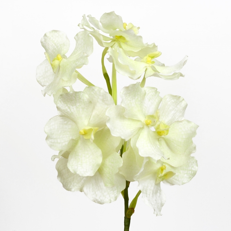 Umelá orchidea 70 cm biela