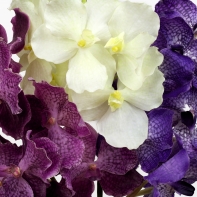 Umelá orchidea 70cm purple