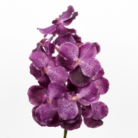 Umelá orchidea 70cm purple