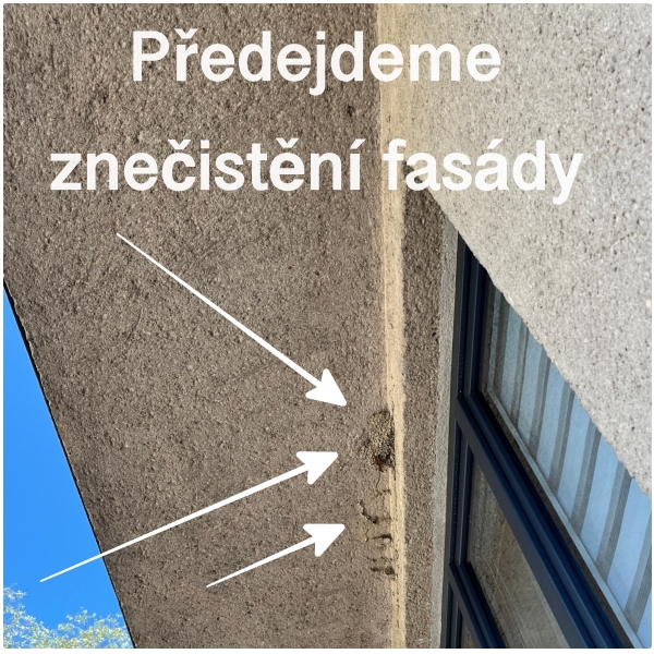 Umelé hniezdo pre belorítky 24,2x9,1x14,7cm