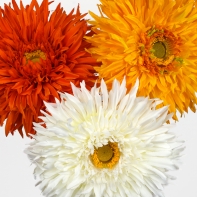 Umelé kvety Gerbera oranžová