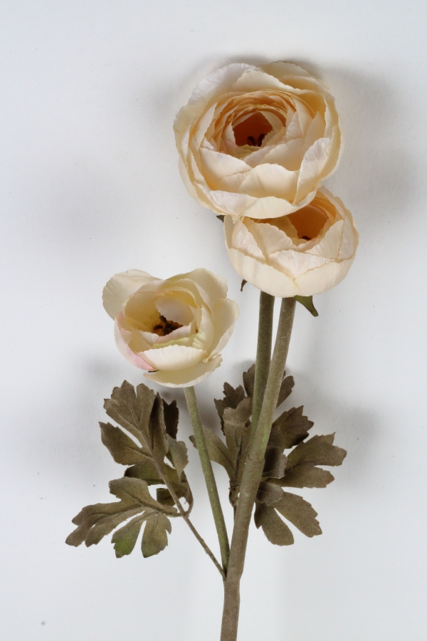 Umelé kvety iskernik kremový 72cm