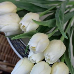 Umelé tulipány krémové 43cm