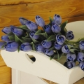 Umelý tulipán modrý 40cm