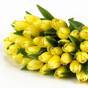 Umelý tulipán svetlo žltý 40cm