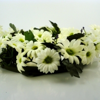 Veniec bielych margarét 30cm