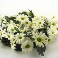 Veniec bielych margarét 30cm