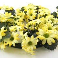 Veniec margaréta priemer 30cm