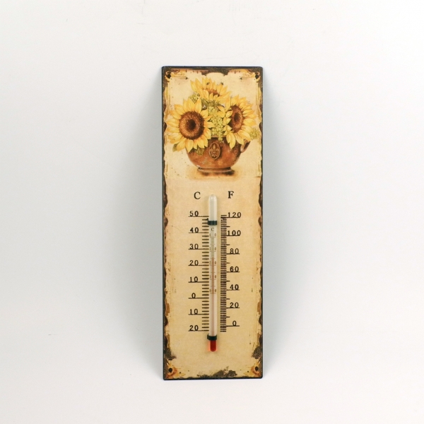 vonkajší ortuťový teplomer